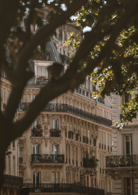 A Parisian Forest